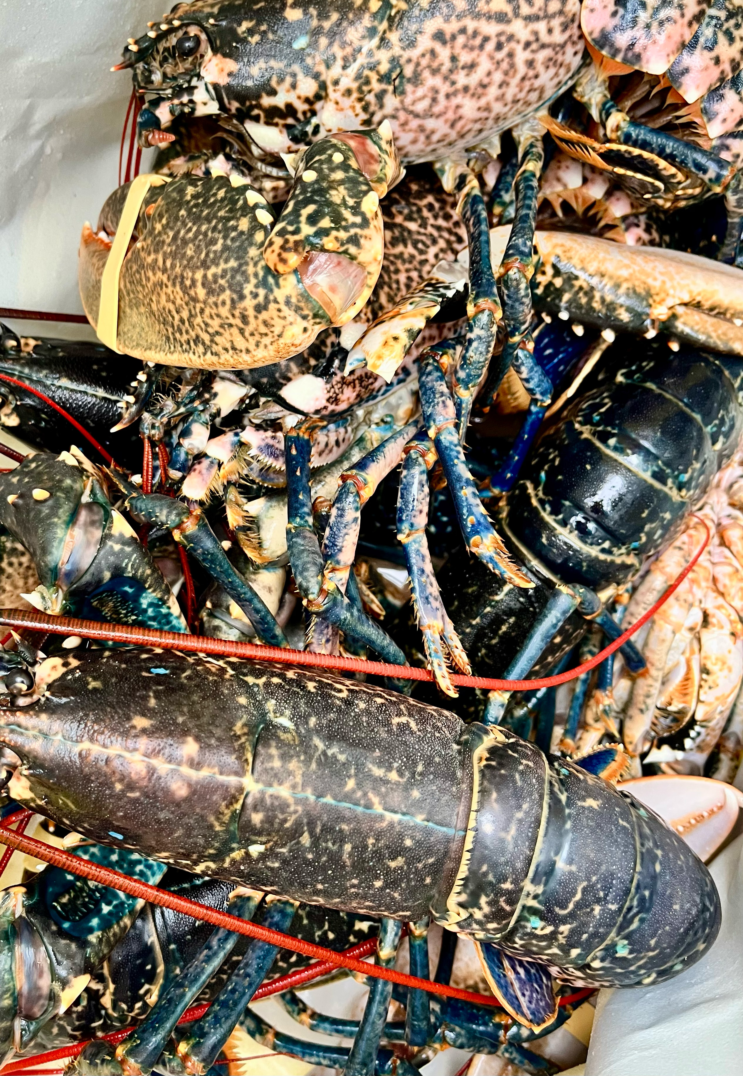 Fresh local seafood